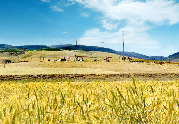 公司两座矿山获评宁夏自治区级绿色矿山